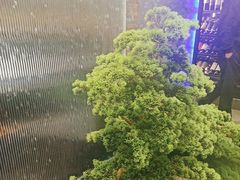 -湖畔鲁菜·二十年老字号餐厅(大明湖店)