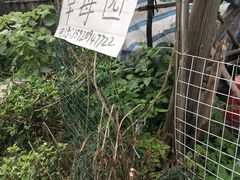 -黄埔古港