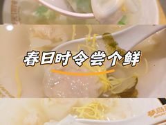 -琴岛顺天馄饨(崂山金鼎店)
