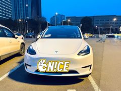 -天猫养车贴膜轻改·蓝电(优匹康桥东路店)