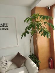 -HEYAN荷妍专业脱毛连锁机构
