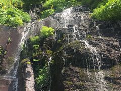 -望天鹅景区