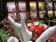 -翡翠鸟精品泰国菜(北辰财富中心店)