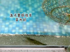 -嘻虾·钓虾工场(东莞总店)