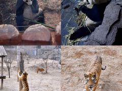 -济南野生动物世界