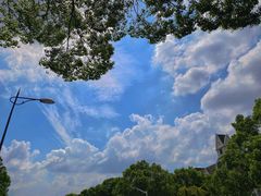 -上海佘山国家森林公园西佘山园