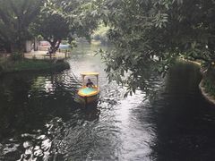 -晓港公园