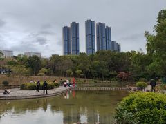 -聚龙山公园