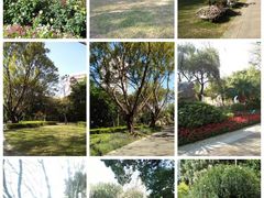 -人民公园(罗湖区)