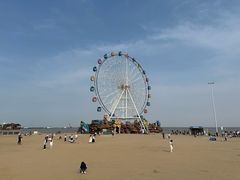 -奉贤海滩