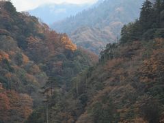 -报恩寺(平武县)