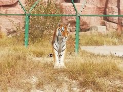 -鄂尔多斯野生动物园