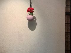 -东方明珠老上海8号餐厅