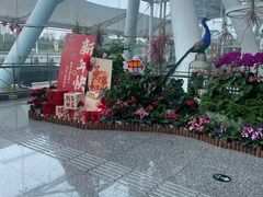 -重庆江北国际机场-T2航站楼