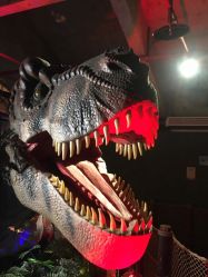 -恐龙探索乐园(磁器口店)