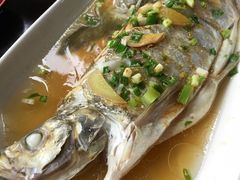 清蒸白水鱼-下塘街25号农家菜馆(新场店)