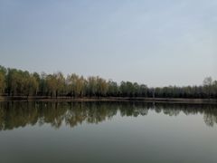 -东郊湿地公园