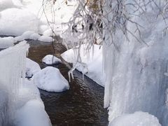 -少华山国家森林公园