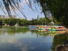 -团结湖公园