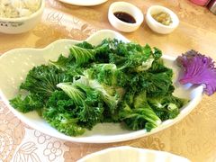 清炒白金兰-琼菜王(南海店)