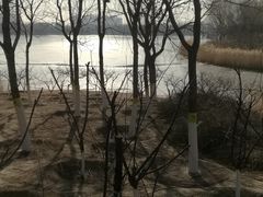 -大兴滨河森林公园