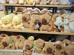 -校园传说(槐房万达广场店)