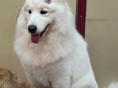 -和它·交个朋友·狗咖猫咖(爱琴海店)