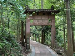 -凤栖山
