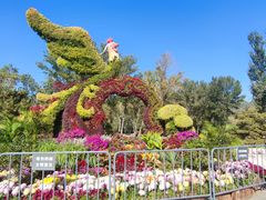 -国家植物园