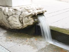 -陕西师范大学(雁塔校区)