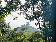 -杭州半山国家森林公园-龙山公园