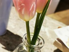 -JW酒廊 JW Lounge(上海鲁能JW万豪侯爵酒店)