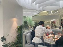 -大树餐厅(朝阳大悦城店)