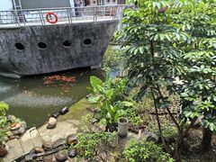 -年辉渔村·非遗传承餐厅(新丰江店)