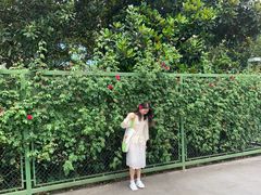 -圩墩遗址公园