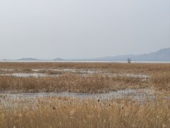 -野鸭湖国家湿地公园