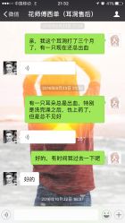 -花师傅
