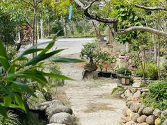 -罗浮山·罗园农庄