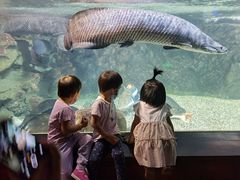 -中央电视塔旋转餐厅