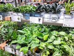 -鹿岛会员店(熙地港店)