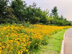 -济南国际园博园