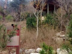 -徂徕山森林康养度假谷温泉