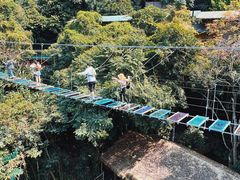 -海南槟榔谷黎苗文化旅游区