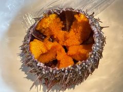 马粪海胆-上宴精品海鲜姿造(晶融汇旗舰店)