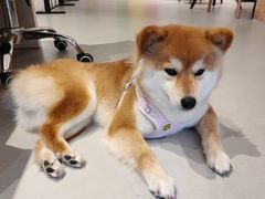 -威尼斯西餐厅(扬名广场店)
