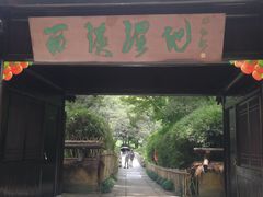 -西溪国家湿地公园