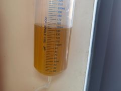 -派美特宠物医院·核磁CT·骨科肿瘤·疑难转诊(沈农禾丰店)