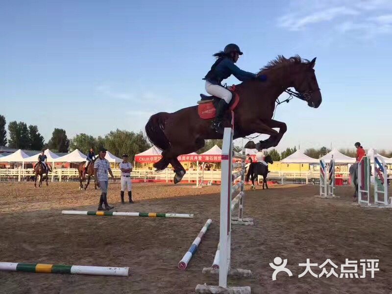 中联骑士联盟马术俱乐部图片 第18张