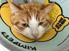 -美联众合24小时·皮肤科·外科·全科诊疗中心(华苑分院)
