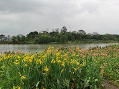 -海珠湖公园